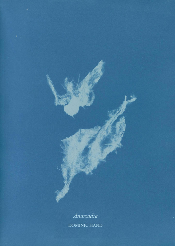 Cover of Anarcadia