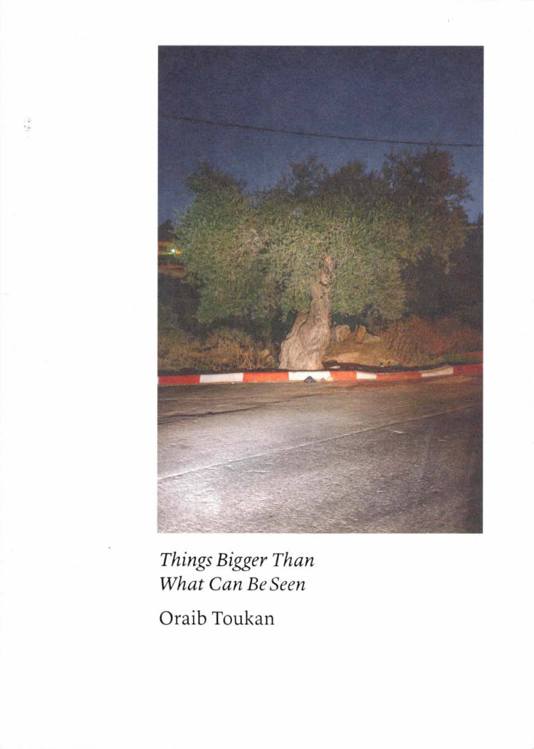 Cover of Things Bigger Than What Can Be Seen
