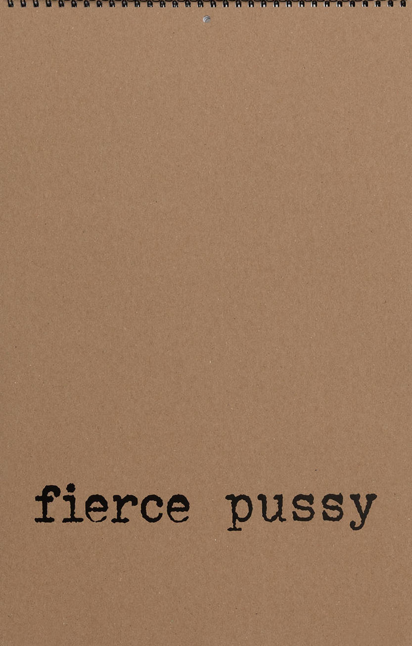 Cover of fierce pussy