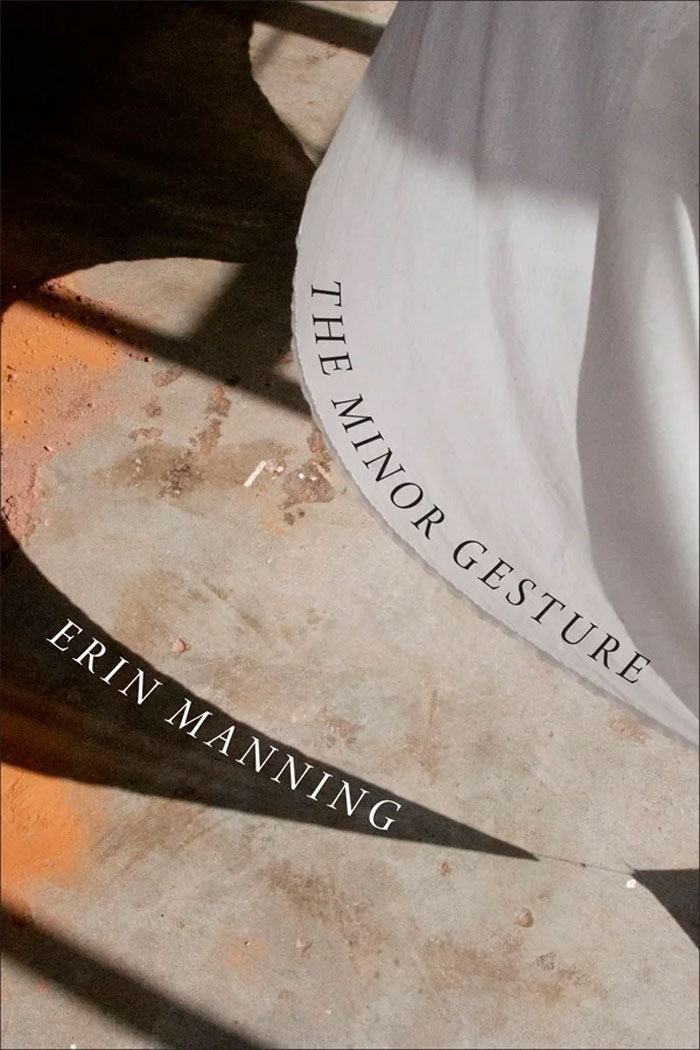 Cover of The Minor Gesture