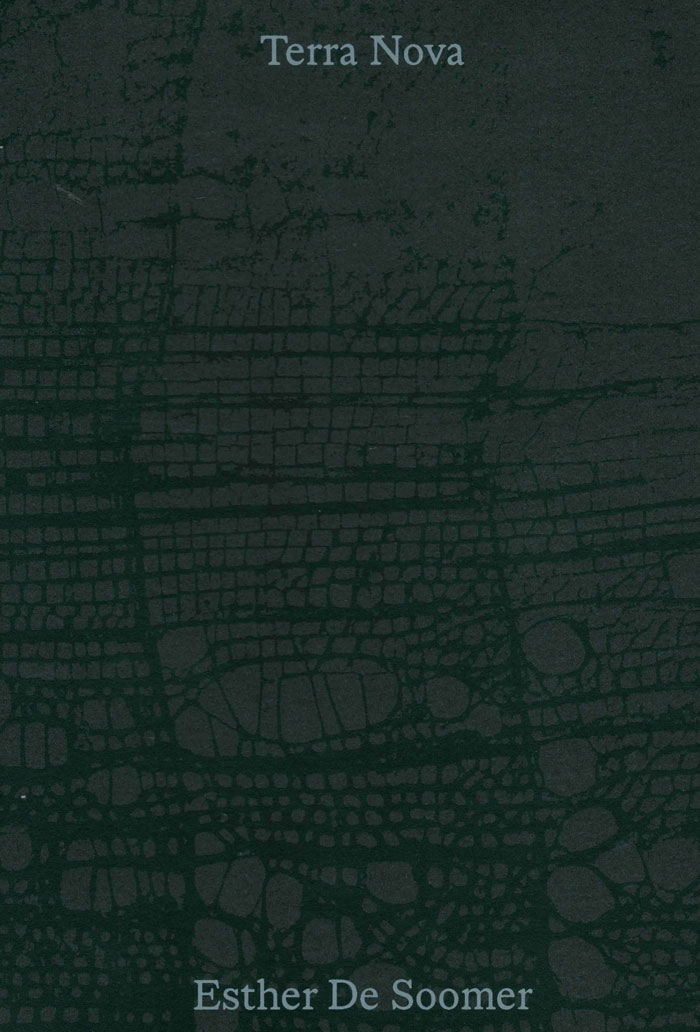 Cover of Terra Nova