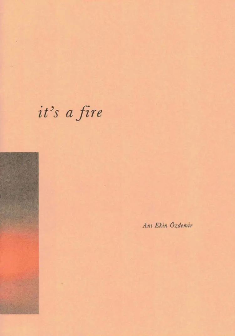 Cover of It's a Fire