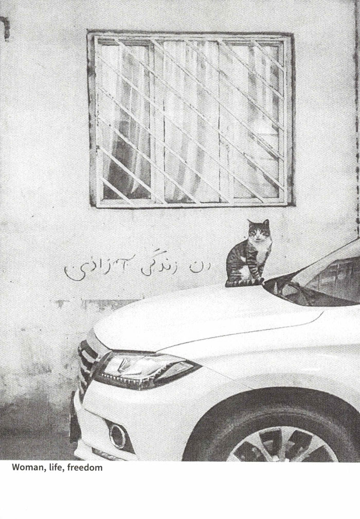 Cover of Blank Stare