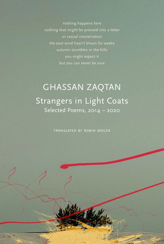 Cover of Strangers in Light Coats