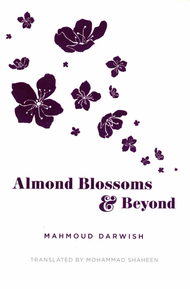 Cover of Almond Blossoms and Beyond