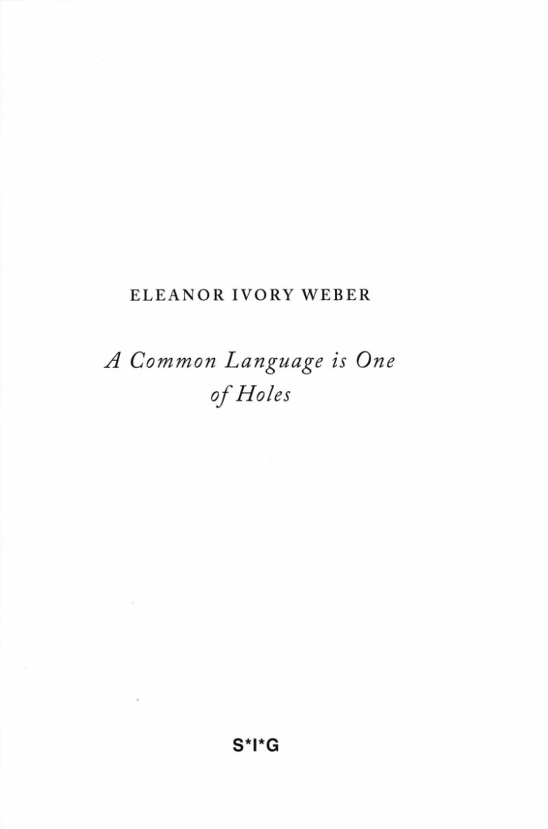 Cover of A Common Language is One of Holes