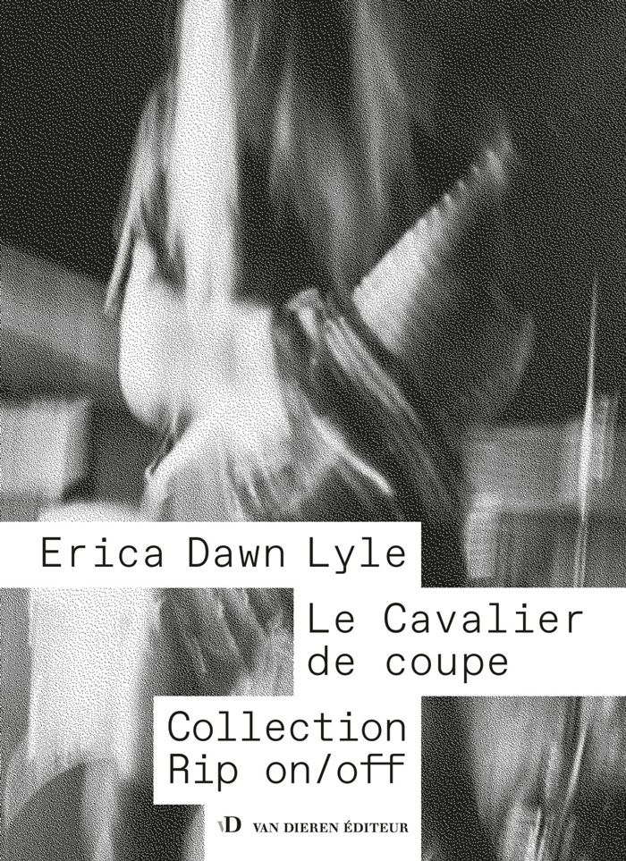 Cover of Le Cavalier de coupe