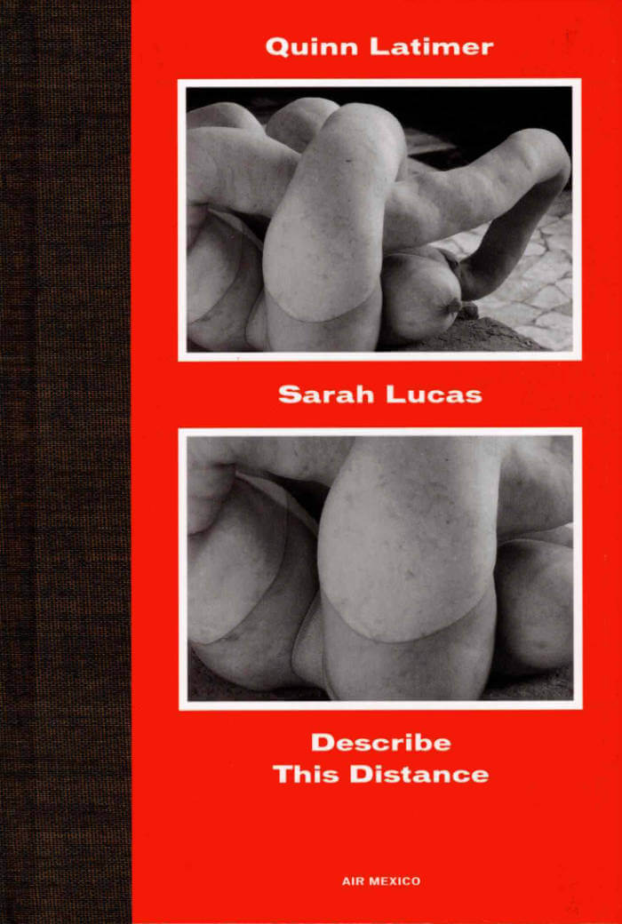 Sarah Lucas – Describe This Distance