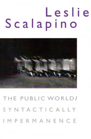 The Public World / Syntactically Impermanence - cover image