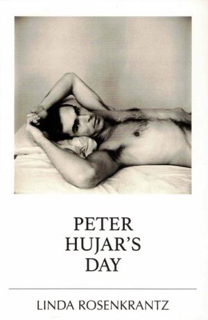 Peter Hujar's Day - cover image