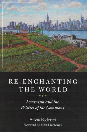 Re-Enchanting the World - cover image