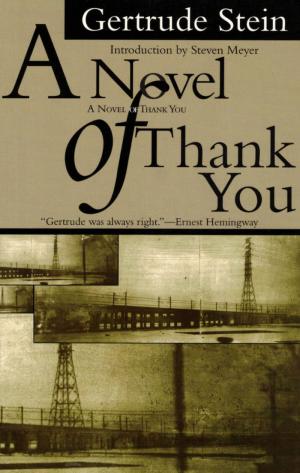A Novel of Thank You - cover image