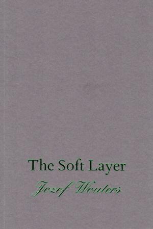 The Soft Layer - cover image