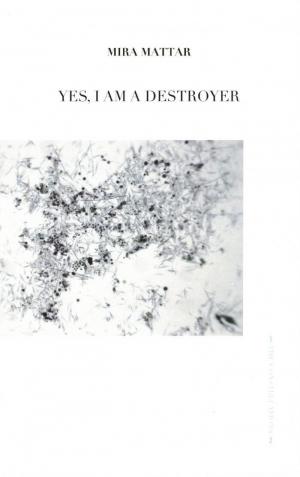 Yes, I Am A Destroyer - cover image