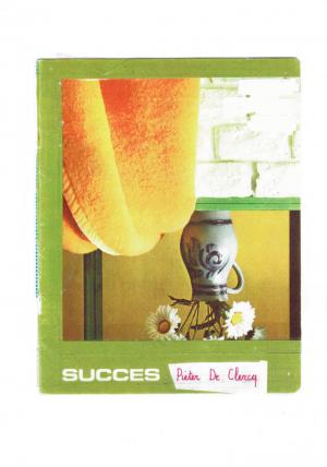 SUCCES - cover image