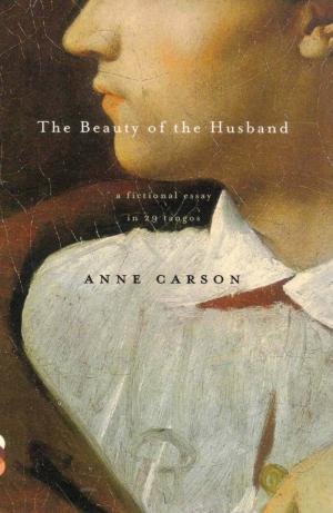 The Beauty of the Husband: A Fictional Essay in 29 Tangos - cover image