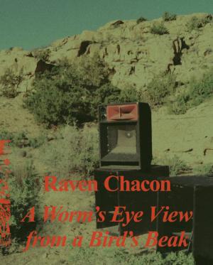 Raven Chacon: A Worm’s Eye View From a Bird’s Beak - cover image