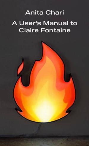 A User's Manual to Claire Fontaine - cover image