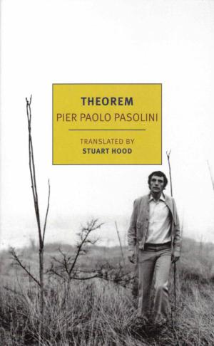 Theorem - cover image