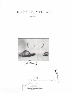 Broken Villas - cover image