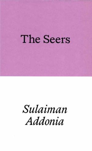 The Seers - cover image