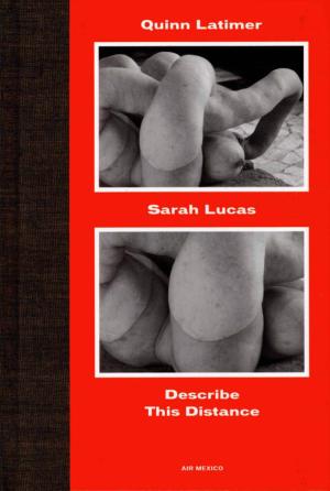 Sarah Lucas – Describe This Distance