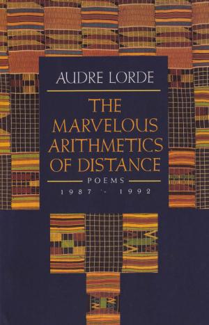 The Marvelous Arithmetics of Distance - cover image