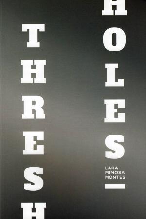 Thresholes - cover image