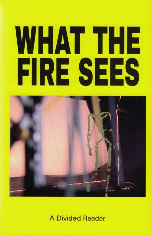 What The Fire Sees - cover image